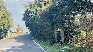 おばけ道路   (@_@)