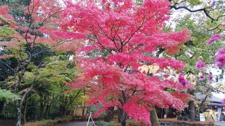 見応えあった。