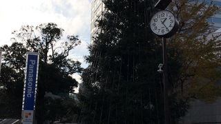 スタバに行きました