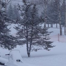 ゴルフ場も雪一面に