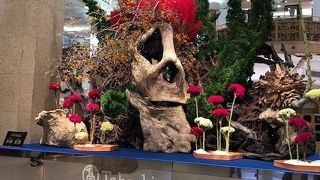 楽しみな正面玄関