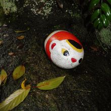 岩の間に・・・・こんな所まで・・・・