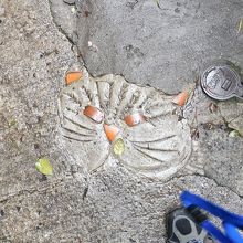 げっ！こんなとこまで！