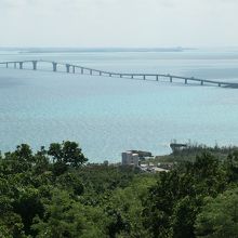 展望台からの眺め