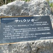 昔使われていた貴重な井戸サバウツガー