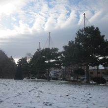 八分切りしたスイカみたいな形なので、横からだと三角に見えます