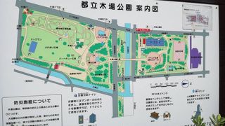 広大な木場公園