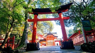 赤く素敵な鳥居