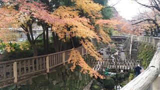 紅葉がきれい