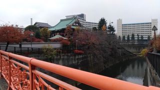 ここも紅葉が！