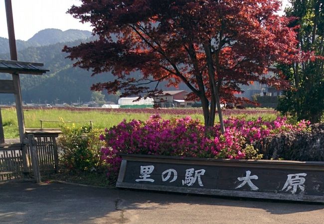 道の駅のような施設