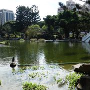 中山紀念公園に有る二つの池