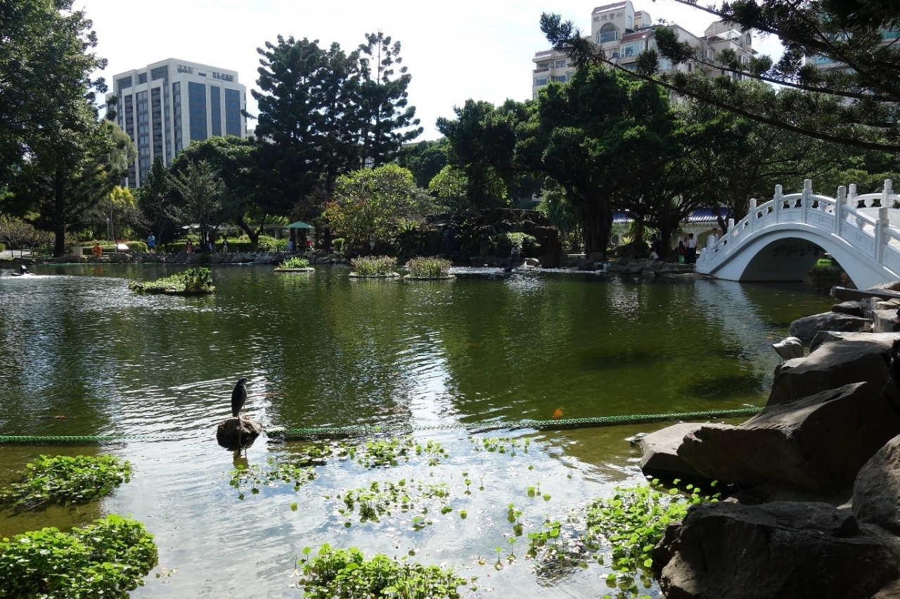 中山紀念公園に有る二つの池