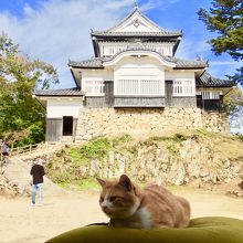 はじめまして。さんじゅーろー。