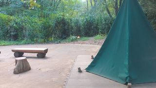 ムーミン好きなら良いかもしれない