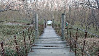 釧路湿原の大パノラマ