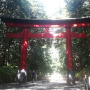 東京のへそ！子育ての神様大宮八幡宮！