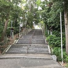 石段を上がった緑豊かな四五百之森の中にあります。