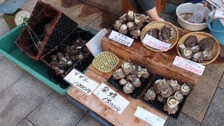 呼子の朝市、毎日開催されているそうです ♪