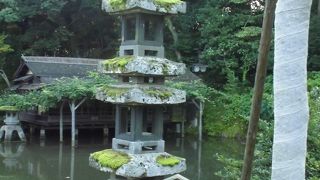 苔が生えてました