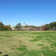 南方向からの遠景