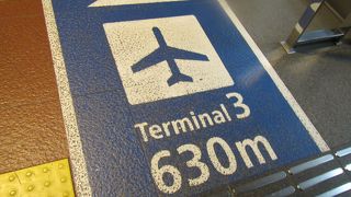 路面にアスリートのトレーニングコース？