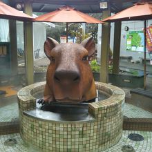 カピバラさんも温泉 足湯 By Traveler 伊豆高原旅の駅 ぐらんぱるぽーとのクチコミ フォートラベル