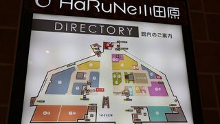 小田原に行ったら是非立ち寄ってみて！