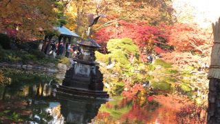 紅葉が見事でした