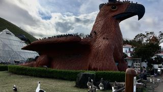 ただの動物園かと思って行くとかなり楽しい