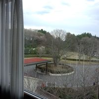 客室からの眺め