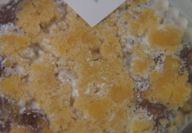 広島のパティスリー