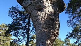 シウダー エンカンターダ