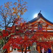 12月あたりから紅葉が紅く綺麗ですよ～