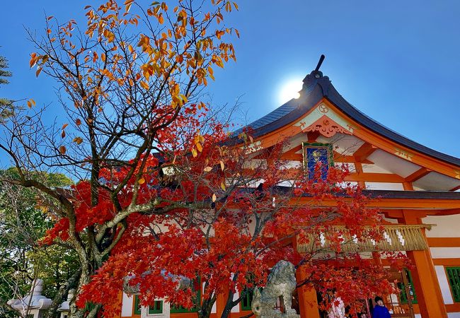紅葉八幡宮 クチコミ アクセス 営業時間 博多 フォートラベル