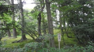 木立の中の曲水