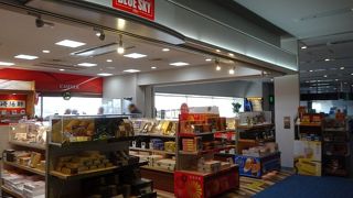 １タミはブルースカイだらけ