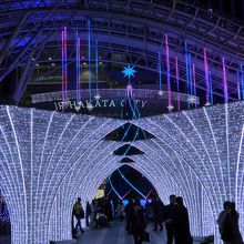 イルミネーションが照らす光の道