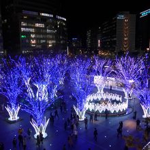 駅前広場のイルミネーション木々