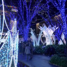 毎年恒例の広場のイルミネーション