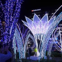 毎年恒例の広場のイルミネーション