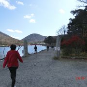 大沼湖畔の赤城神社は人気でした