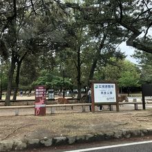 鹿がいるいる奈良公園