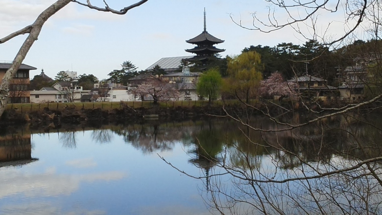 興福寺の五重塔が見える池