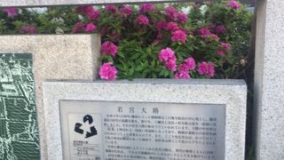 鶴岡八幡宮の参道