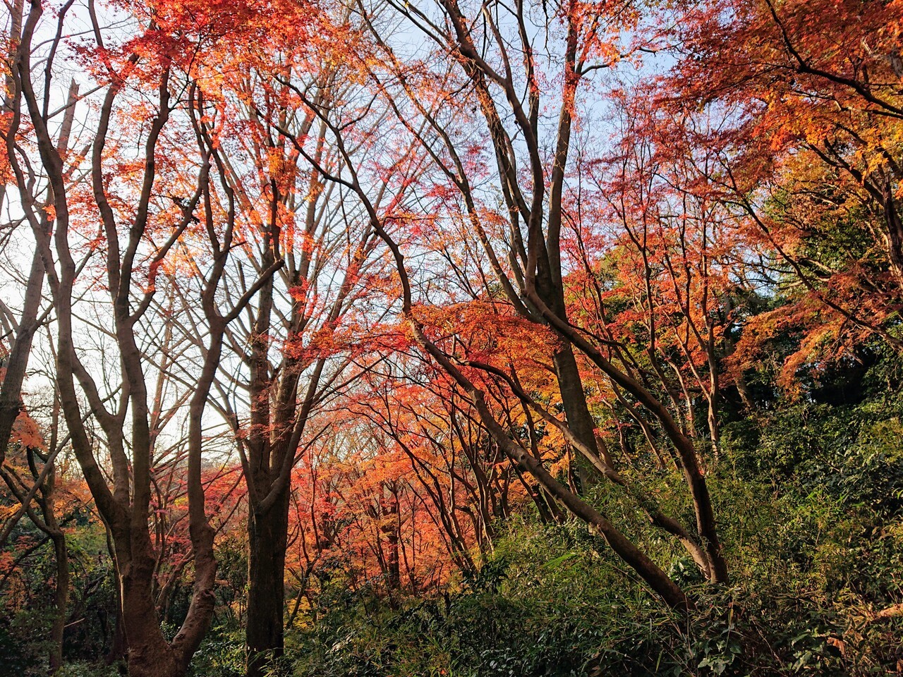 12月12日最高でした