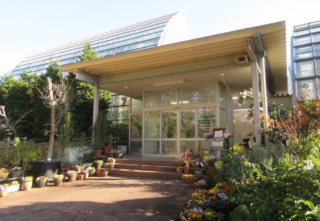 大崎園芸植物園 クチコミ アクセス 営業時間 浦和 フォートラベル 大崎園芸植物園 クチコミ アクセス 営業時間 浦和 フォートラベル