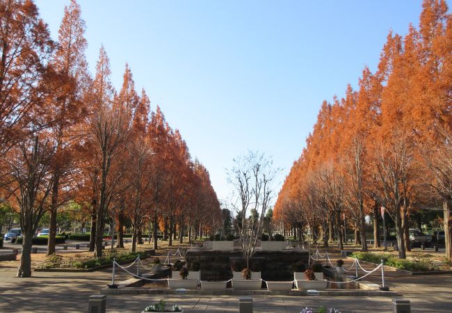 埼玉スタジアム02公園 クチコミ アクセス 営業時間 浦和 フォートラベル 埼玉スタジアム02公園 クチコミ アクセス 営業時間 浦和 フォートラベル