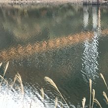 湖面のさざ波・・