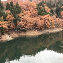枯れ落ちる前の紅葉